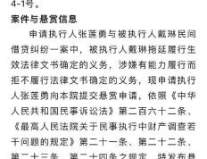 逃避执行28万元及利息，九球体育_运动员戴琳被发布执行悬赏公告